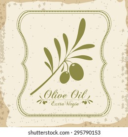 Olive Oil digital design, vector illustration eps 10