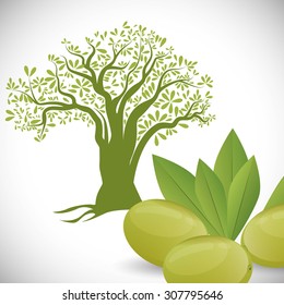 Olive Oil digital design, vector illustration 10 eps graphic
