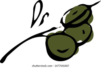 Olive oil doodle. Logo. Vector illustration. Black and green olives on white background