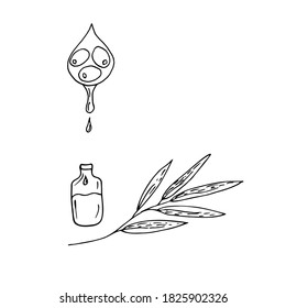 Olive oil drips from olives into a transparent bottle.

