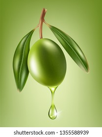 Olive oil drops from the olive berry. Realistic vector illustration