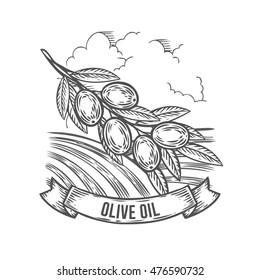 Olive oil extra virgin badge with branch. Monochrome vintage engraving fresh organic banner sign isolated on white background. Sketch vector hand drawn illustration.