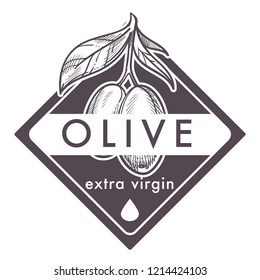 Olive oil extra virgin, monochrome sketch outline poster