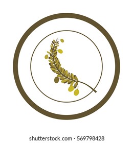 Olive oil food