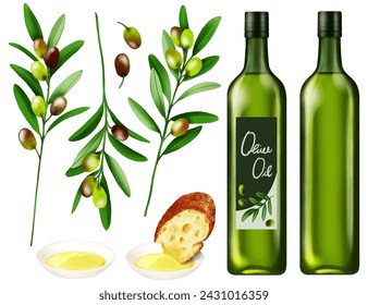 olive oil olive food illustration oil health plant leaf branch fruit