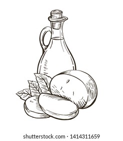 Olive oil in glass bottle with cheese mozzarella and basil leaves. Italian food. Hand drawn design element. Vintage vector engraving illustration for logotype, poster, web.