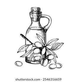 Olive oil in glass bottle with cork and olive tree branch with leaves and berries. Carafe with food sauce. Vector ink line art hand drawn illustration Food label, menu clipart isolated from background