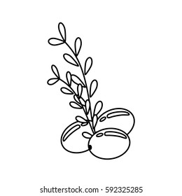 Olive oil healthy food icon vector illustration graphic design