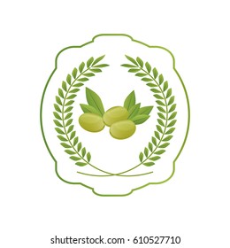 Olive oil healthy food icon vector illustration graphic design