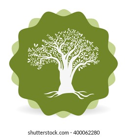 olive oil icon design, vector illustration