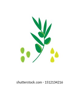 Olive oil icon. Flat vector illustration of seeds, plants and a drop of oil.
