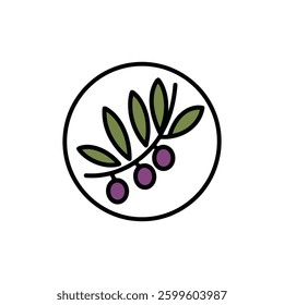 olive oil icon vector design template in white background.