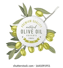 Olive oil label design over hand drawn olive branch. Sketched vector illustration. Great for your package design