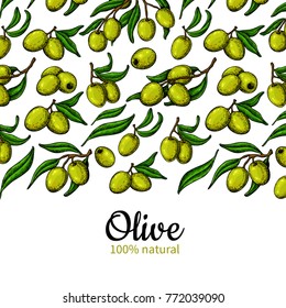 Olive oil label. Hand drawn vector illustration of branch with berry and leaves. Isolated  border drawing on white background.  Great for banner, logo, flyer, beauty, spa, cosmetic ingredient.