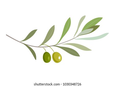 Olive oil label or logo for farm store or market. Olive branch with leaves and olives. Retro emblem organic olive oil vector illustration isolated on white background.