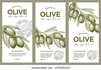 Olive oil label set. Vector hand drawn illustration of olive branches in engraving technique. Templates for olive oil packaging design. 