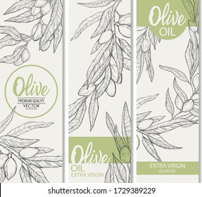 Conjunto de etiquetas de aceite de oliva.Ramas de oliva dibujadas a mano aisladas en el fondo blanco.Ilustración de grabado de olivo.Elemento de diseño para el envasado de aceite de oliva, cosméticos.Producto vegetal natural.