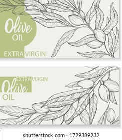 Olive oil label set.Hand drawn olive branches isolated on white background.Engraving illustration olive-tree.Design element for packing olive oil, cosmetics.Natural plant product.