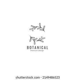 Olive Oil Leaf Logo Botanical Line Art