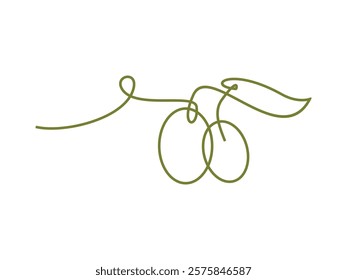 olive oil lineart vector illustration on transparent background