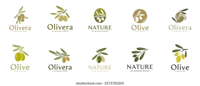 olive oil logo collection, extract, balance, natural ingredients, beauty, design vector template.