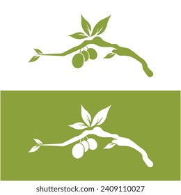 Olive oil logo with a combination of leaves and fruit, perfect for health, beauty logo and brand company