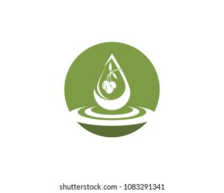 Olive oil logo design template
