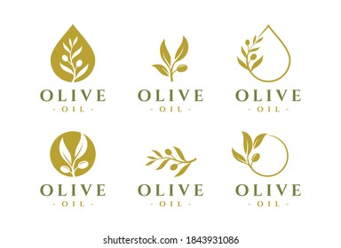 Olive oil logo design template set