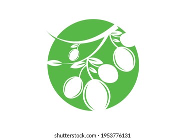 olive oil logo or icon design vector template