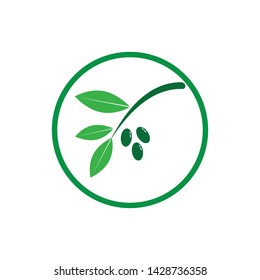 olive oil logo icon template design business