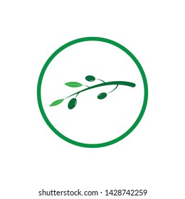 olive oil logo icon template design business