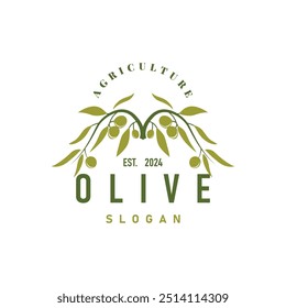 Logotipo de óleo de oliva, Olive Leaf Plant Herbal Garden Simples elegante ícone luxuoso Design Ilustração modelo