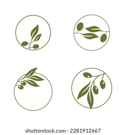 olive oil  logo leaf vector