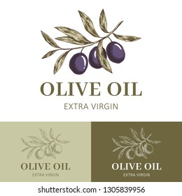 Olive oil logo template