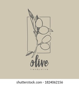 Plantilla del logotipo del aceite de oliva. Emblema de aceitunas negras y verdes con ramas y hojas. Ilustración vectorial aislada.