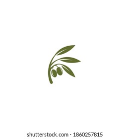 Diseño de icono de la plantilla de logotipo de aceite de oliva