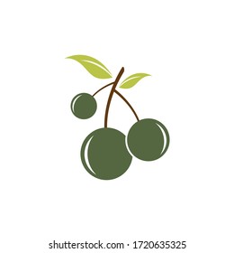 Diseño de la ilustración del icono del logotipo del aceite de oliva