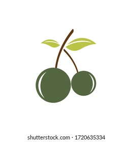 Olivenöl-Logo Vektorgrafik-Design
