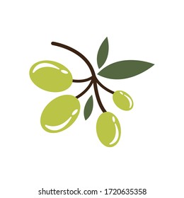 Olive oil logo vector icon illustration design