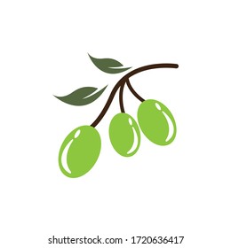 Olive oil logo vector icon illustration design