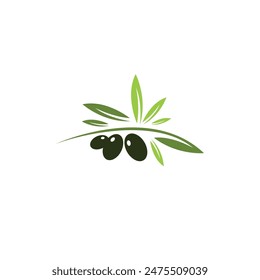 Olive oil logo vector illustration. organic icon