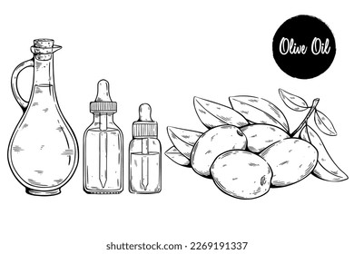 Olive oil with medical drop bottle. Hand drawing olive leaves and fruit vector illustration