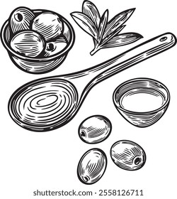 Olive oil and olives engraved vector illustration.