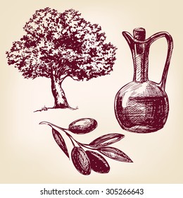 olive oil with olives set hand drawn vector llustration realistic sketch