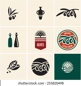 Olive oil. Olives. Olive tree. Olive branch vector icon.