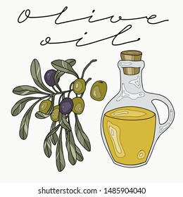 olive oil and olives, vector