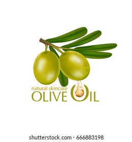 Olive oil organics natural skin care cosmetic 