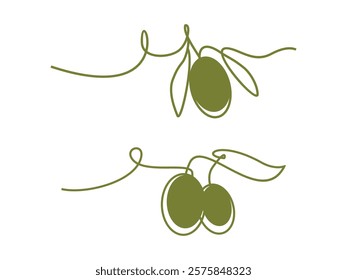 olive oil outline vector illustration on transparent background