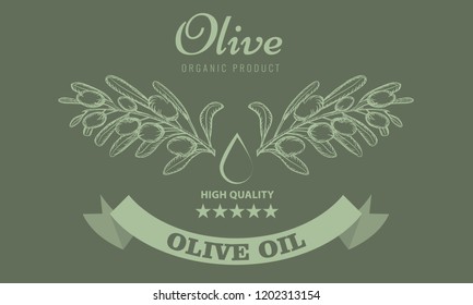 Olive oil package design for label with vintage sketch style. Vector Illustration.