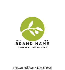 olive oil plant logo design vector inspiration